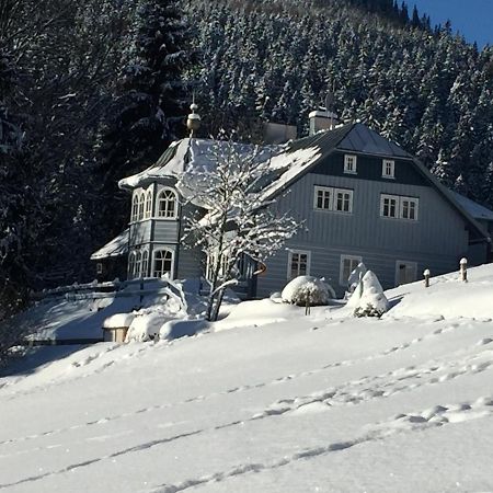 Penzion Modry Pavilon Dolní Malá Úpa 外观 照片